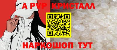 дживик Гай