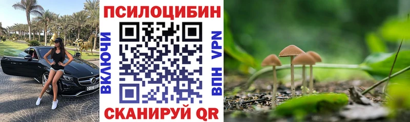 Псилоцибиновые грибы Psilocybine cubensis  МЕГА ссылка  маркетплейс официальный сайт  Отрадный 