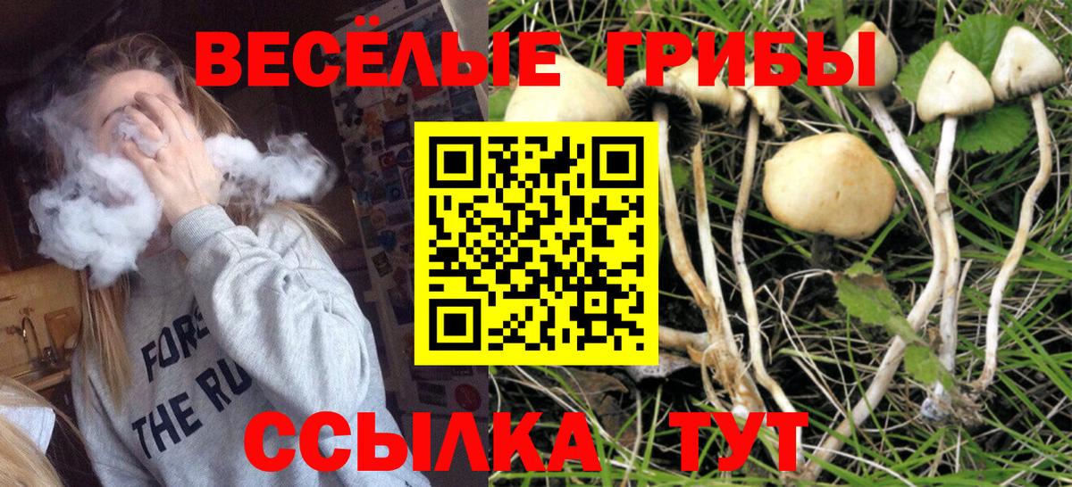 Отрадный  Псилоцибиновые грибы прущие грибы  Вход с VPN 